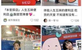 兼职实习月报，实习历程与收获