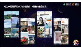 公域流量与私域流量的转化之道,策略与技巧 公域流量与私域流量的转化之道,策略与技巧